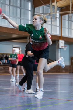 Bild 267 - wDJ HSG Kremperheide/Muensterdorf - TSV SR Schuelp : Ergebnis: 26:5